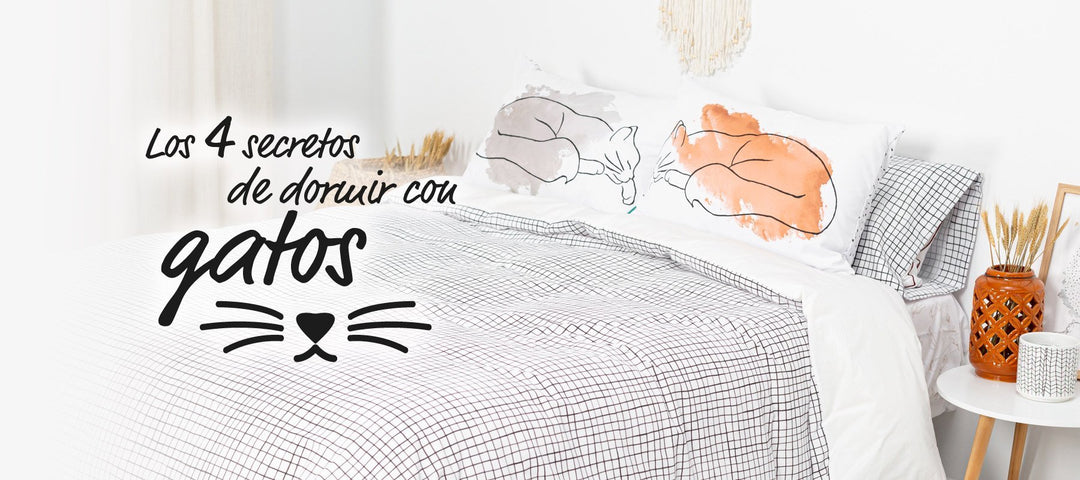 Colección felina, ¡el secreto de dormir con gatos! - sokios