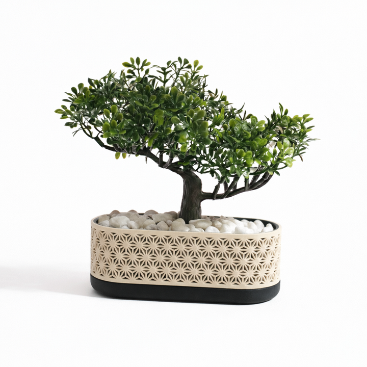 Maceta Kumiko Bonsai con bandeja de goteo