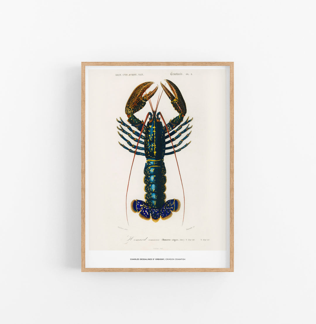 Cuadro Charles Dessalines D Orbigny Crismon Crawfish