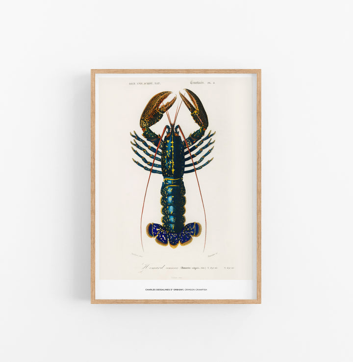 Cuadro Charles Dessalines D Orbigny Crismon Crawfish