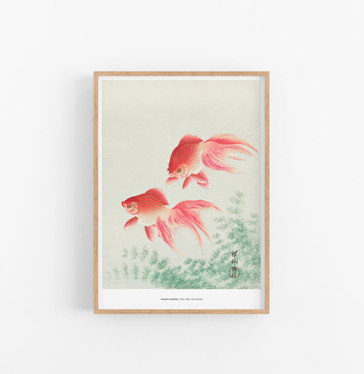 Cuadro Ohara Koson Two Veil Goldfish