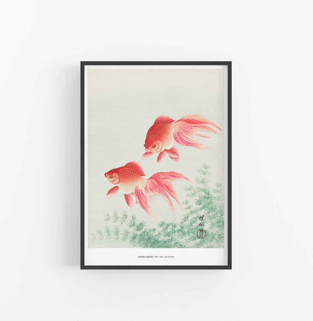 Cuadro Ohara Koson Two Veil Goldfish