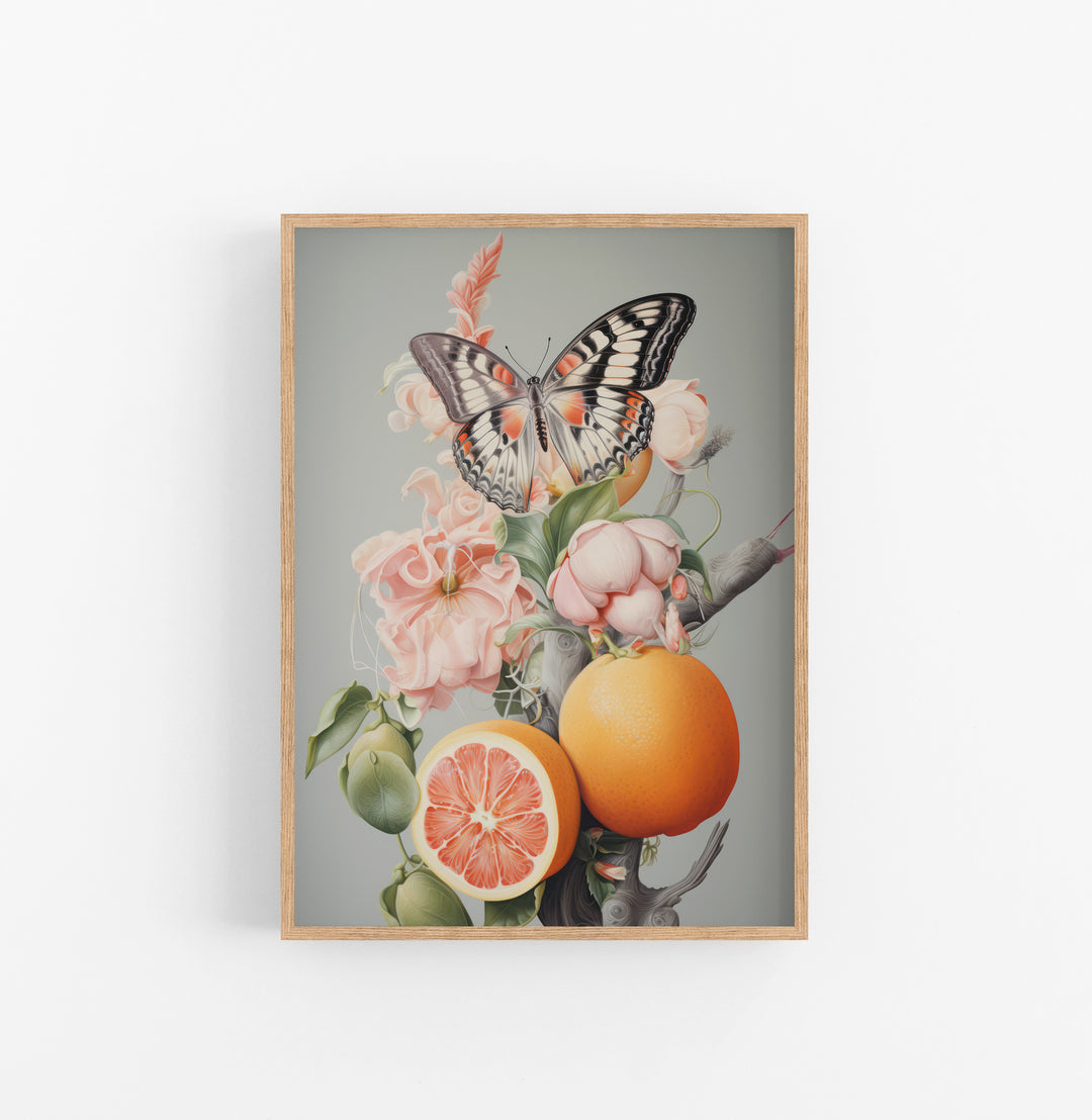 Cuadro con Marco Eclectic Realista Floral Frutas Naranja Rosa